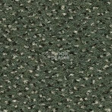 Ковролин Balsan Zenith Roll 250 фото 1 | FLOORDEALER